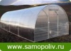 Samopoliv